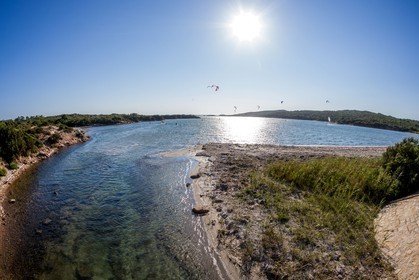 Figari