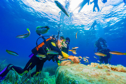 Plongée-sous-marine