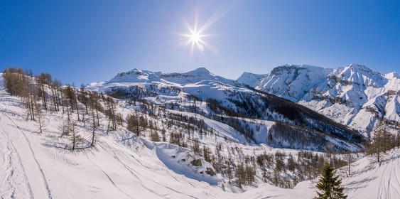 Auron