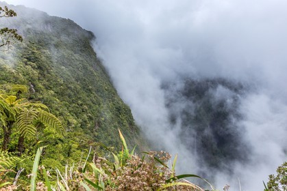 Ile de La Réunion