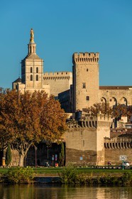 Avignon
