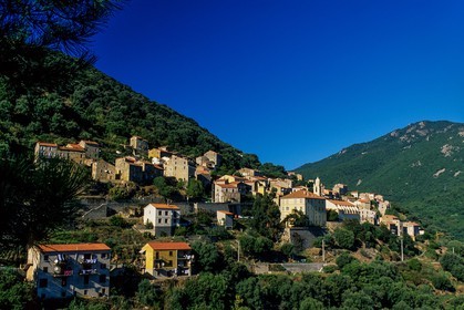 Olmeto