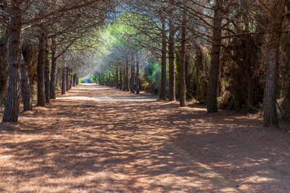 Lérins Sainte-Marguerite 2023