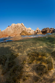 Tonnara
