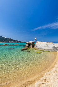 Aregno