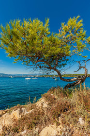 Ile St Honorat