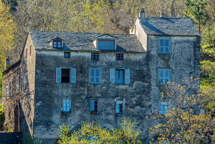 Saliceto