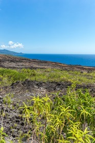 Ile de La Réunion
