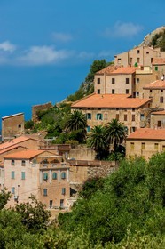 Belgodère