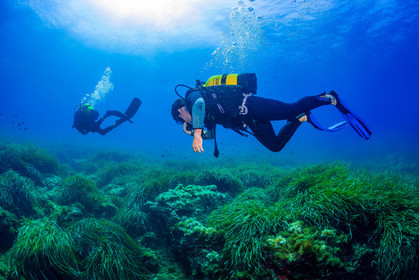 Plongée-sous-marine
