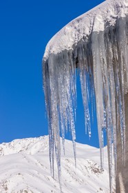 Auron