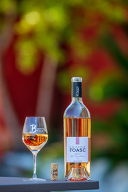Domaine de Toasc