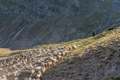 Col de la Bonette