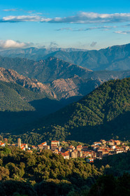 Vico
