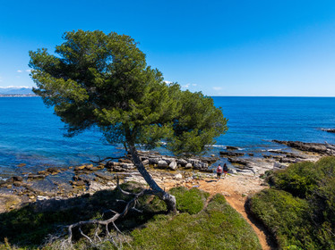 Lérins Sainte-Marguerite 2024