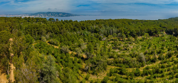Lérins Sainte-Marguerite