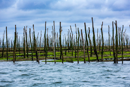 Arcachon