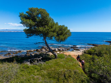 Lérins Sainte-Marguerite 2024