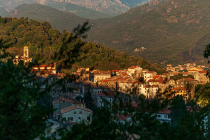 Vico