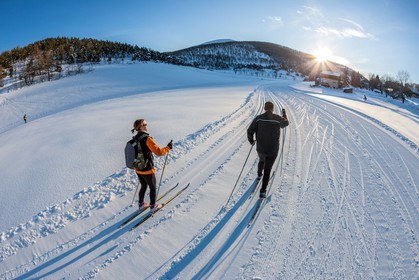 Ski de fond