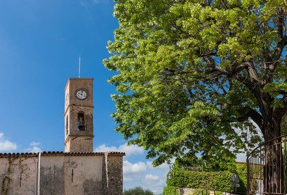Opio