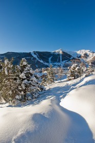 Auron