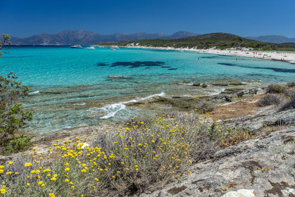 Saleccia