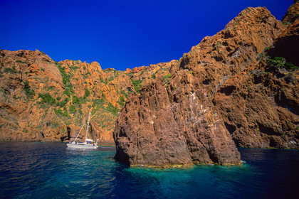 Scandola