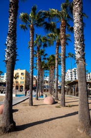 Etats-Unis, Californie-du-Sud, Los Angeles, Venice, Venice Beach