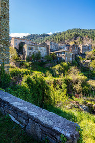 Saliceto