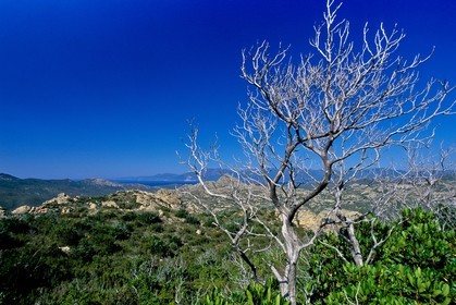 Désert des Agriates