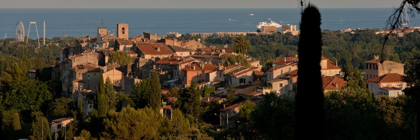 Biot