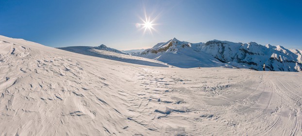Auron