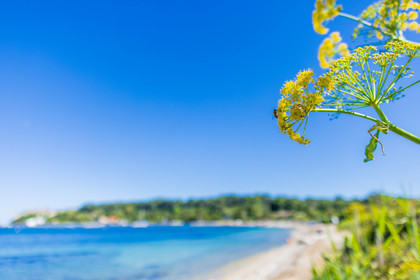 Lérins Sainte-Marguerite 2024