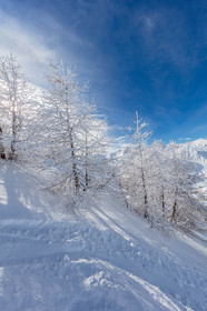 La Foux-d'Allos