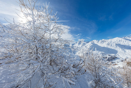 La Foux-d'Allos