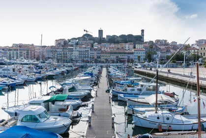 Peigne Pantiéro
