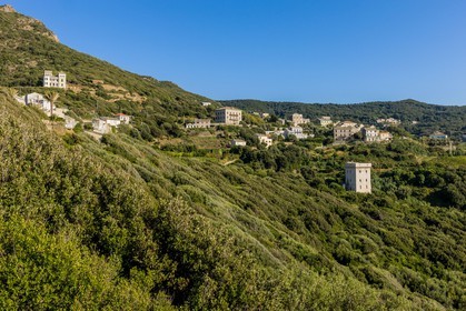Baragogna