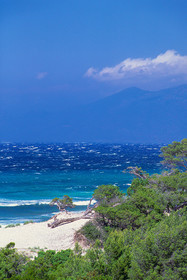 Saleccia