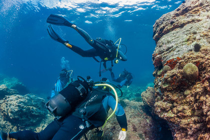 Plongée sous-marine