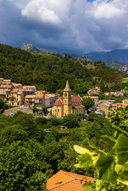 Vivario