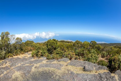 Piton Maïdo