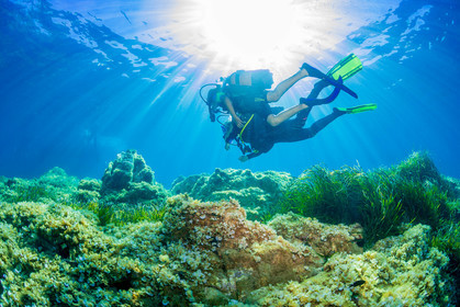 Plongée-sous-marine