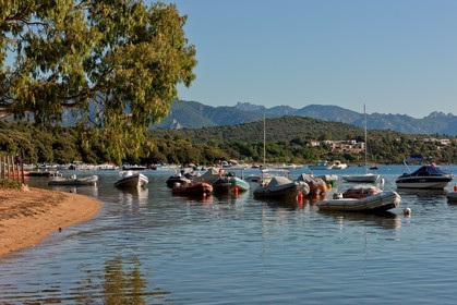 Pezza Cardo