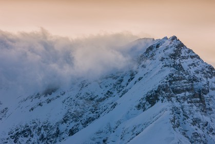 Auron