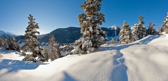 Auron