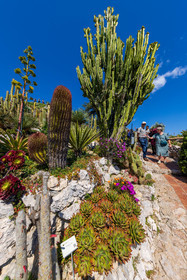 Eze Jardin exotique