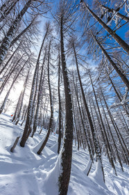 La Foux-d'Allos