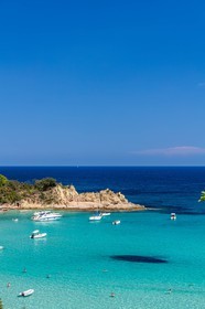 Canella