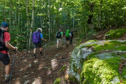 GR 20 Sud